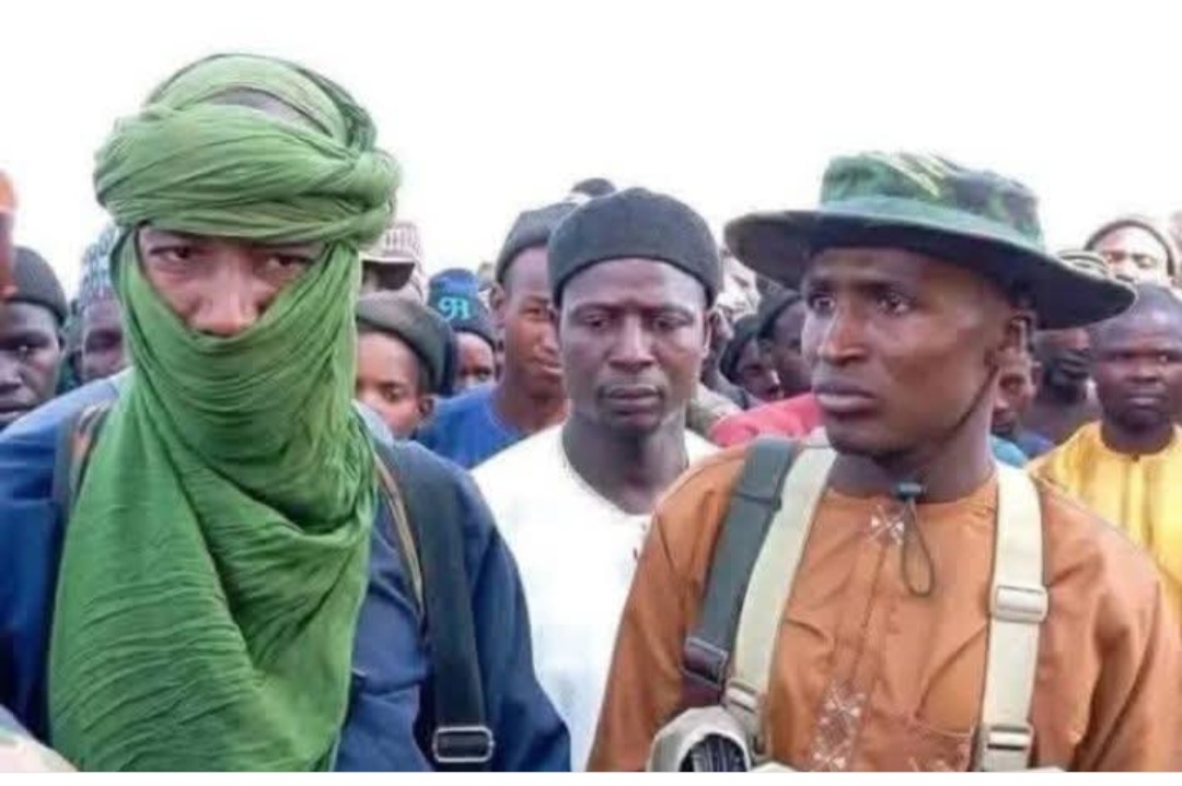 Panic as Katsina bandit kingpin reveals how they operate. 