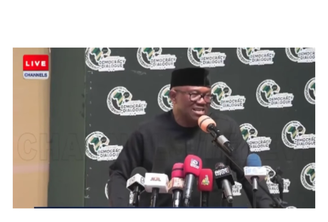 Politics: Drama as Peter Obi blasts Nigerian Professors. 