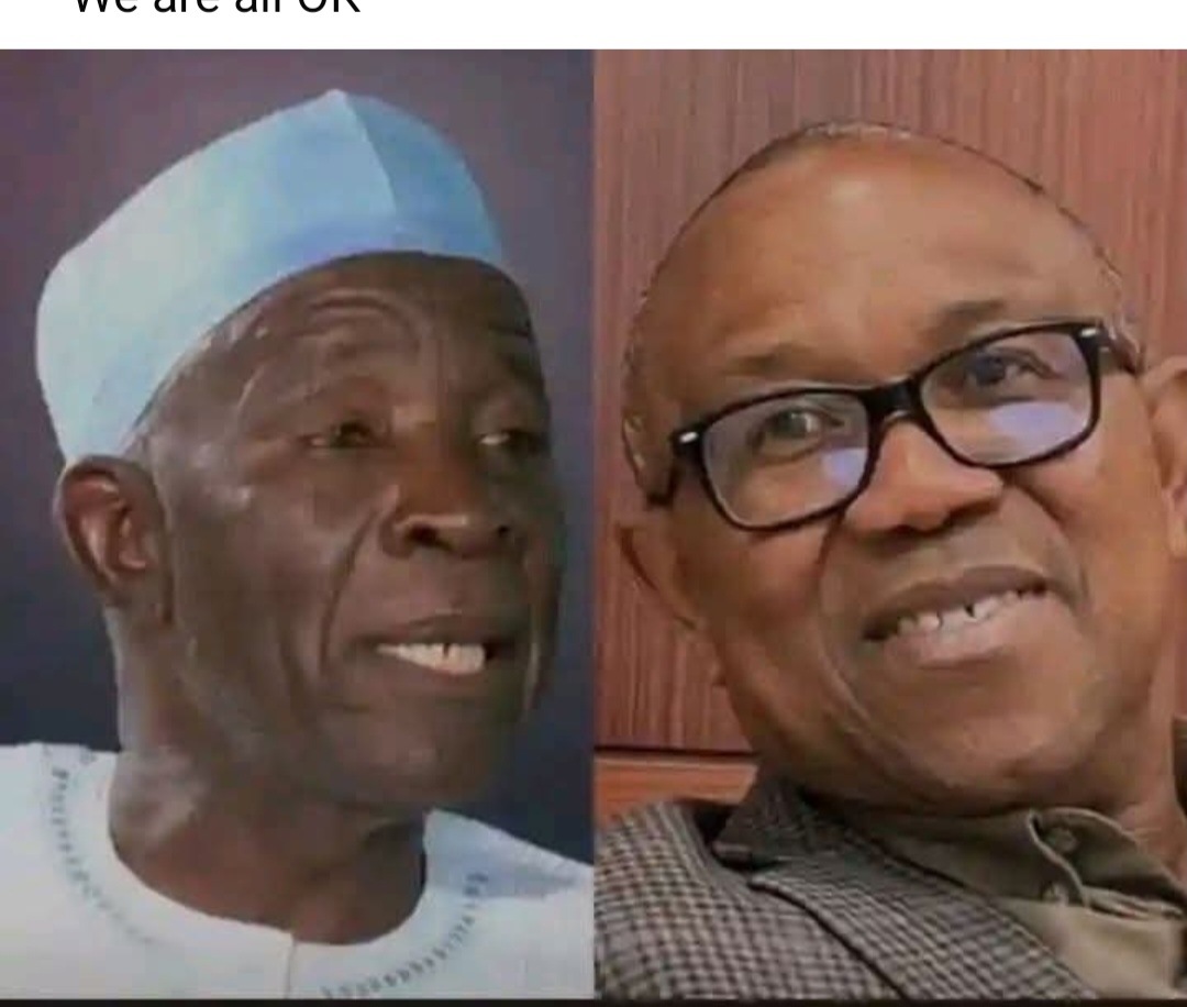 Reactions as Man reveals the true colour of Peter Obi. 