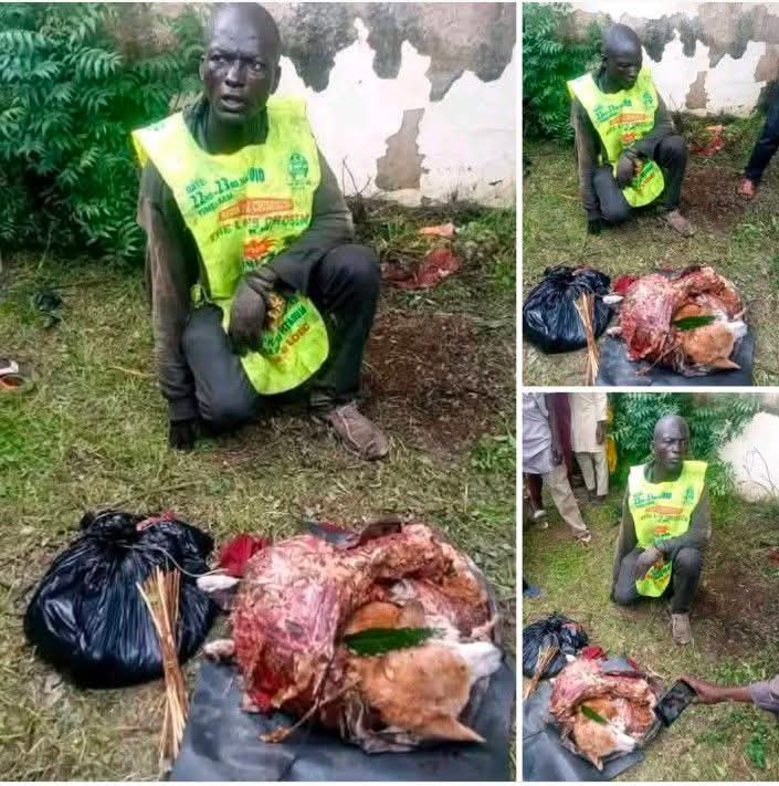 Man caught preparing Dog meat as Suya.